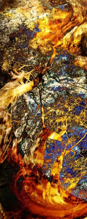 ASTRAZIONE NATURALE 3