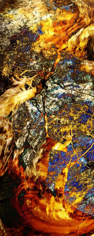 ASTRAZIONE NATURALE 3