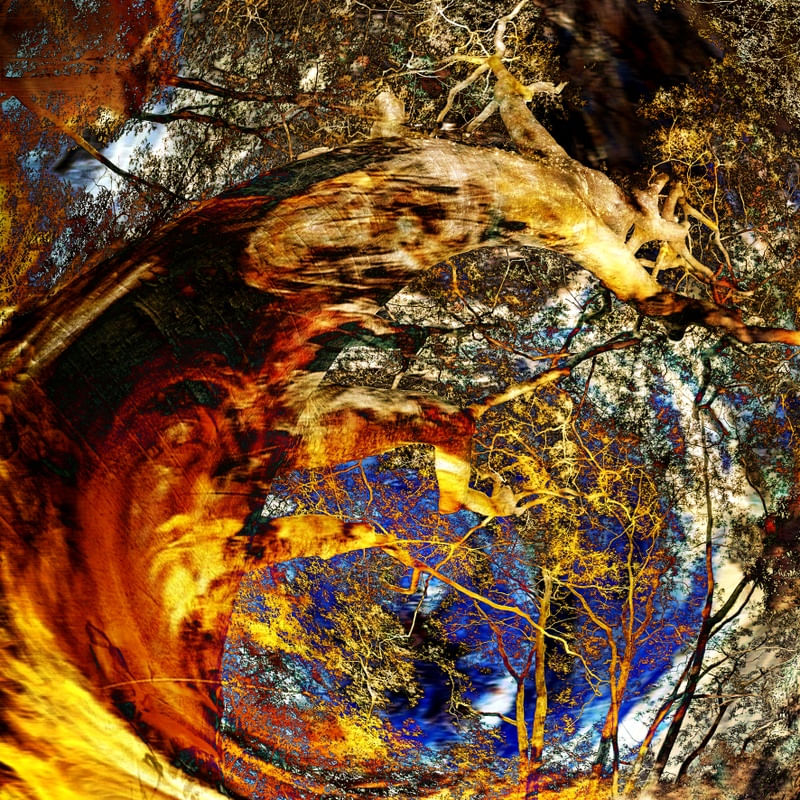 ASTRAZIONE NATURALE 4