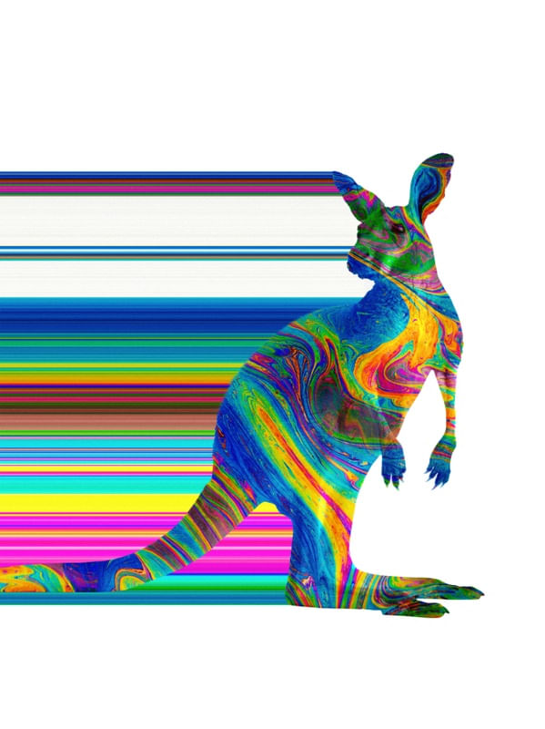 THE KANGAROO7