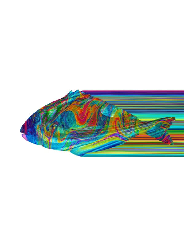 THE FISH7