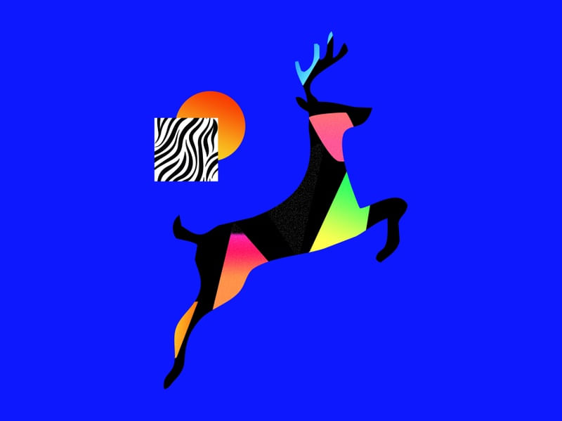 DEER - BLUEPRINT ANIMAL COLLECTION