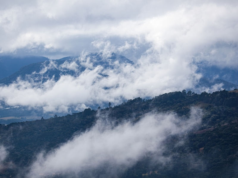 APÓS A TEMPESTADE L