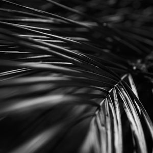 DESFOQUES NATURAIS I