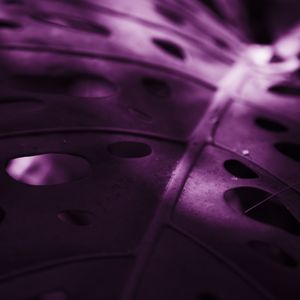 SOMBRA & ROXO