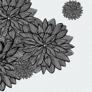 FLORAIS LINHA 3