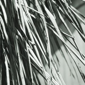 DETALHES PB