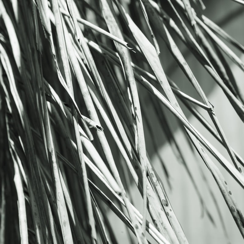 DETALHES PB