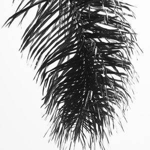 FOLHAGEM MINIMALISTA II