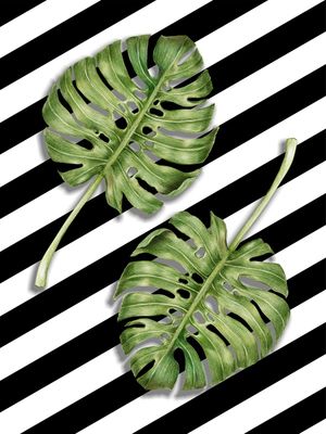 TROPICAL FLORAL BOTÂNICO - 97A2