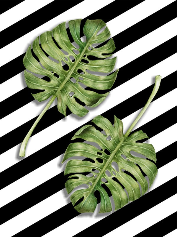 TROPICAL FLORAL BOTÂNICO - 97A2