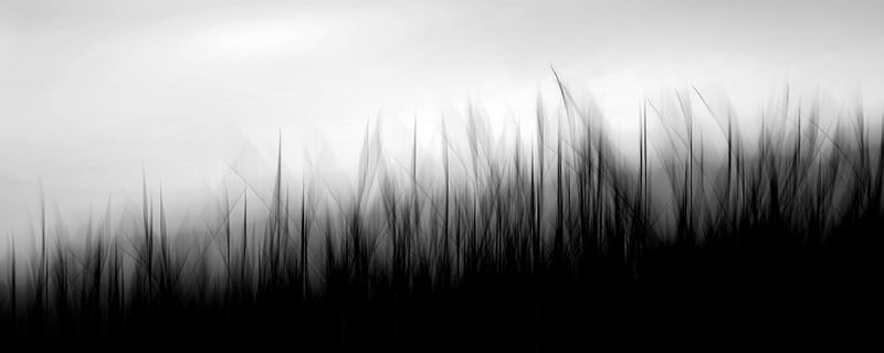PANORAMICA JU BW