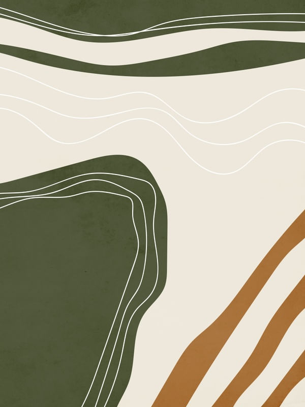 LINHAS E FORMA ABSTRATA 10