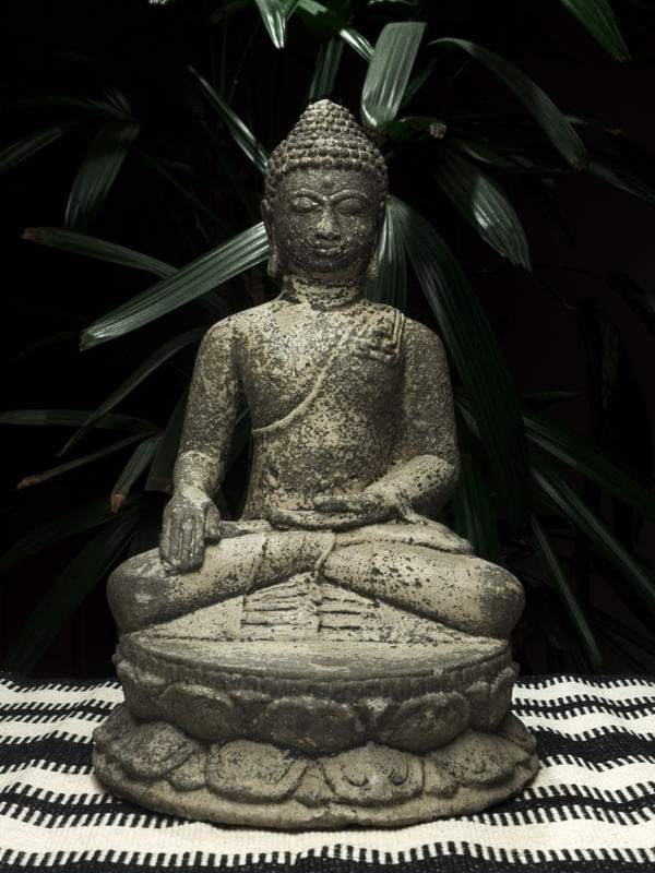 202003_BUDA_7519