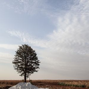 CONTRASTE NO CAMPO