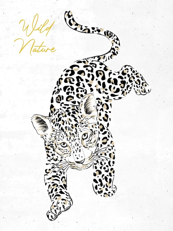 BABY JAGUAR 2