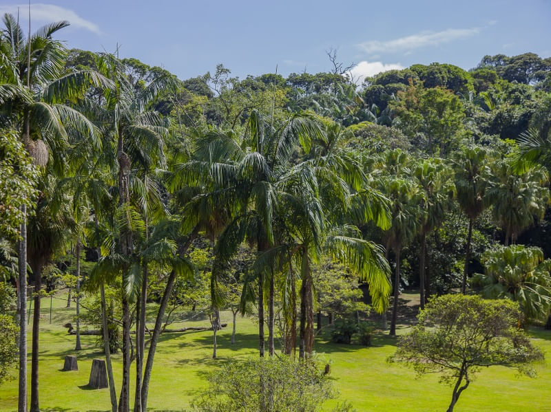 PARQUE 2022 1