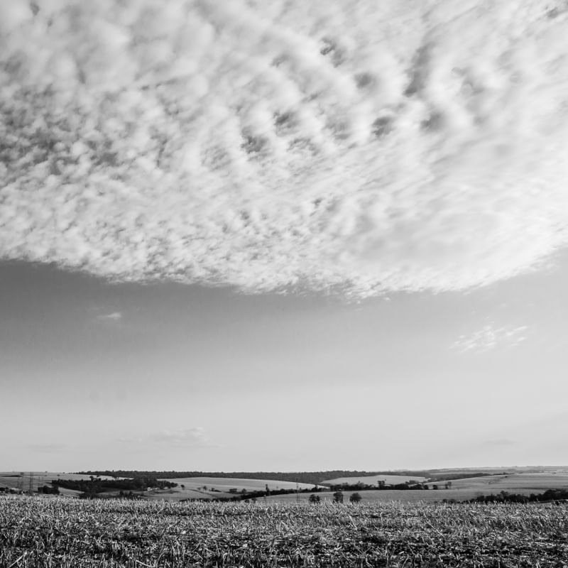 PAISAGEM NO CAMPO