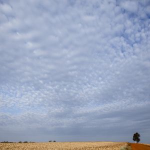 AS NUVENS NO CAMPO II