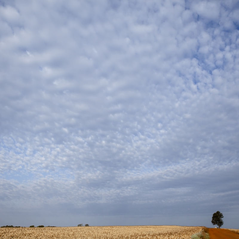 AS NUVENS NO CAMPO II