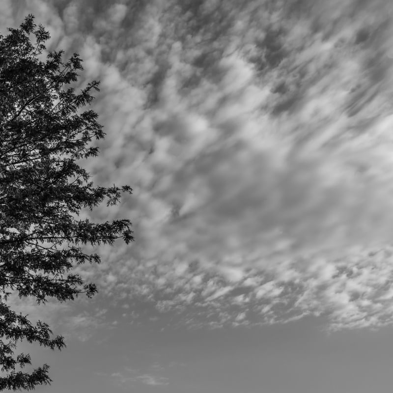 NUVENS EM MOVIMENTO