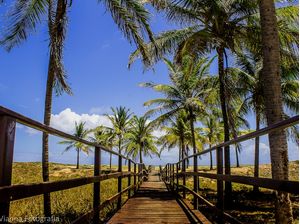 PONTE PARA A PRAIA