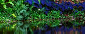 PANORAMICA COM FLORES EM AZUL