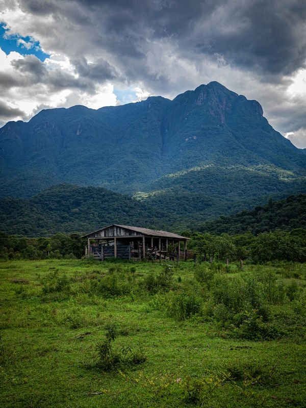 O CELEIRO E AS MONTANHAS