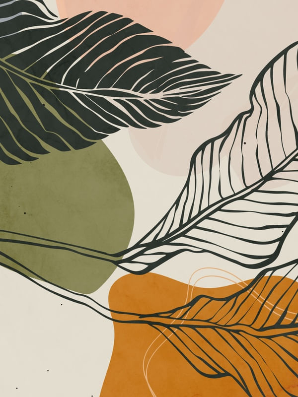 ENTRE FOLHAS E FORMAS ORGANICAS 6