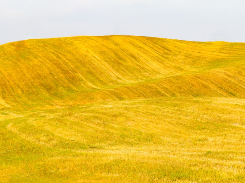 CAMPO DE FENO EM PORTUGAL