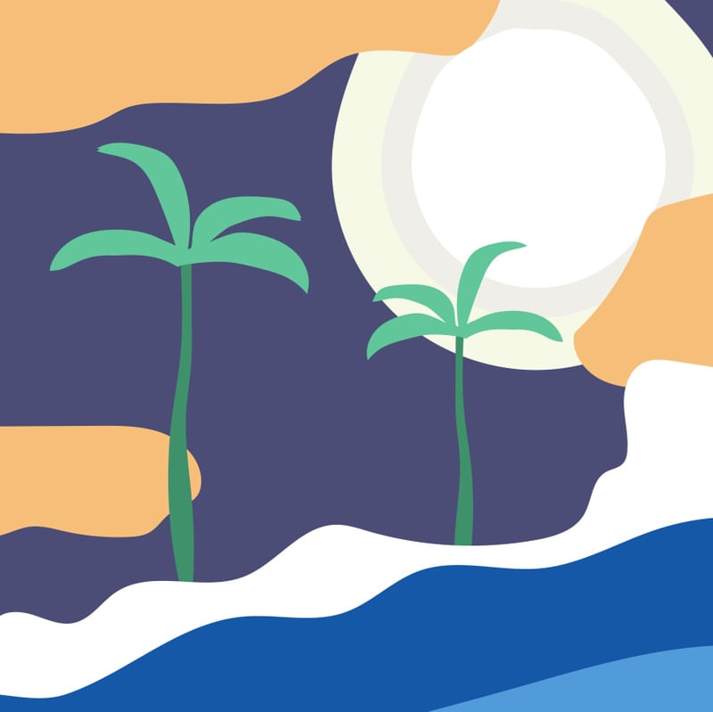 ALOHA SURF NOITE