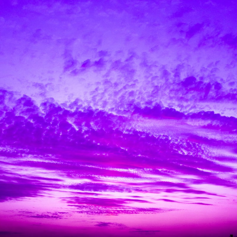 O ABSTRATO ROSA & ROXO