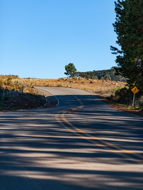 SOMBRA NA ESTRADA