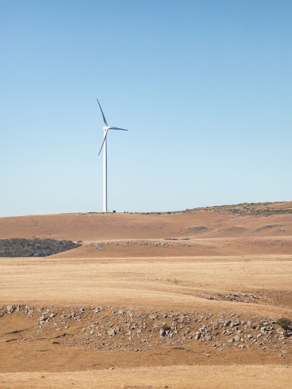A ENERGIA DO VENTO