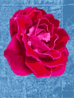 ROSA VERMELHA SOBRE PISO DE CONCRETO AZUL - COLOR #01