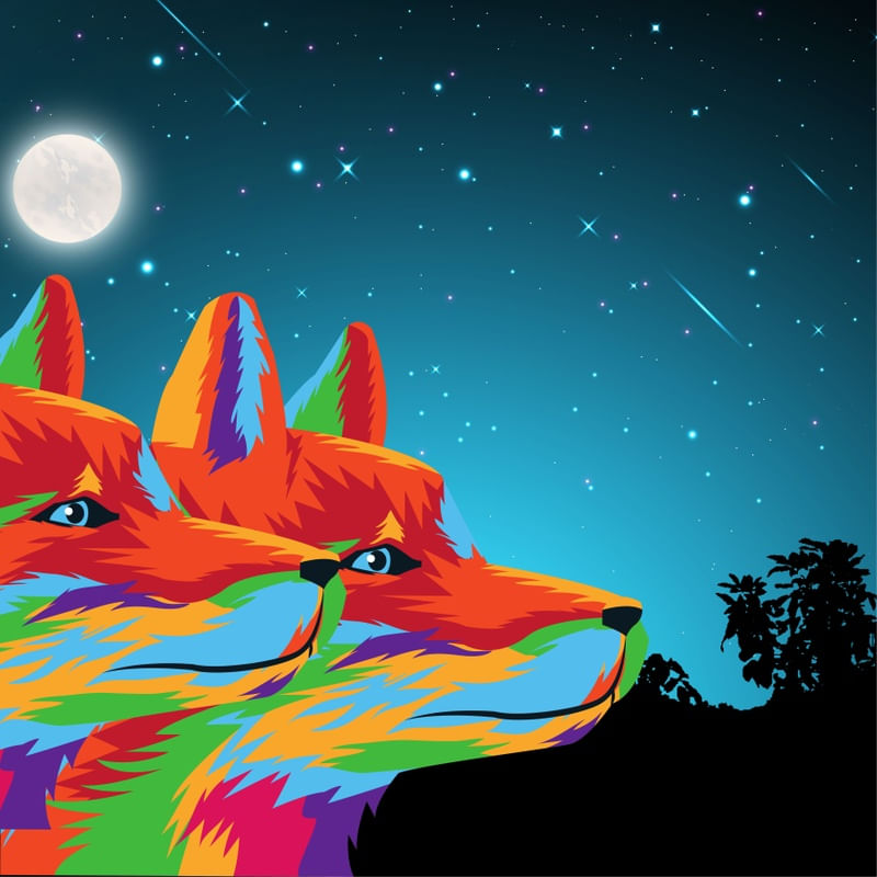 DOIS LOBOS
