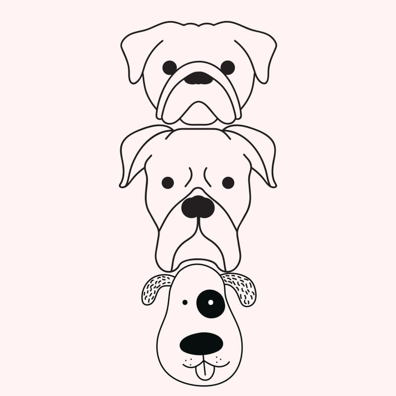 AMOR DE CÃES ROSA