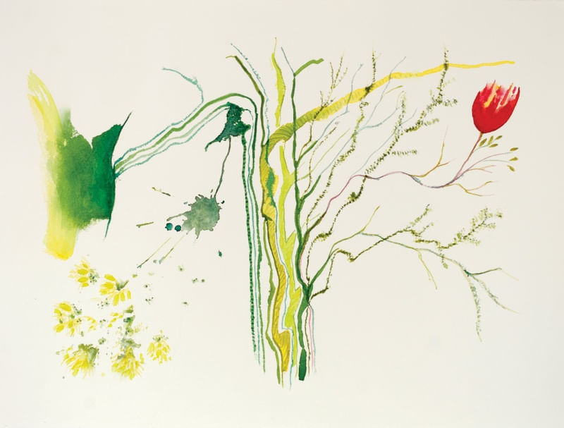 CORES DA PRIMAVERA 8
