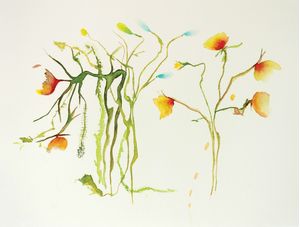 CORES DA PRIMAVERA 10
