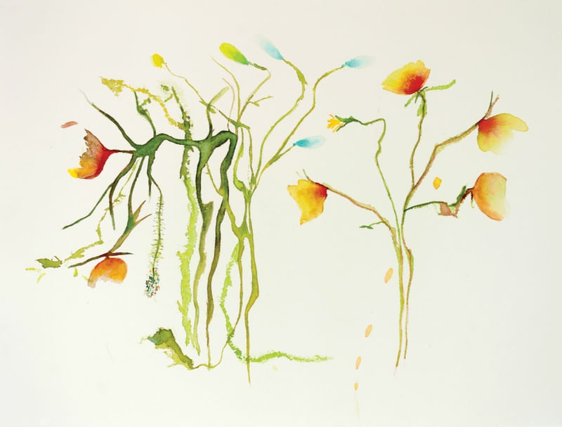 CORES DA PRIMAVERA 10