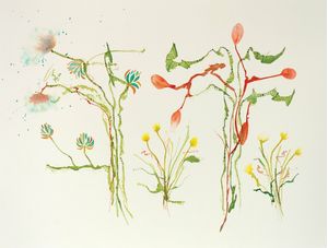 CORES DA PRIMAVERA 11