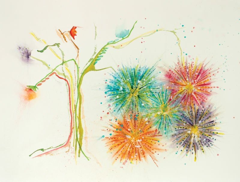CORES D PRIMAVERA 15