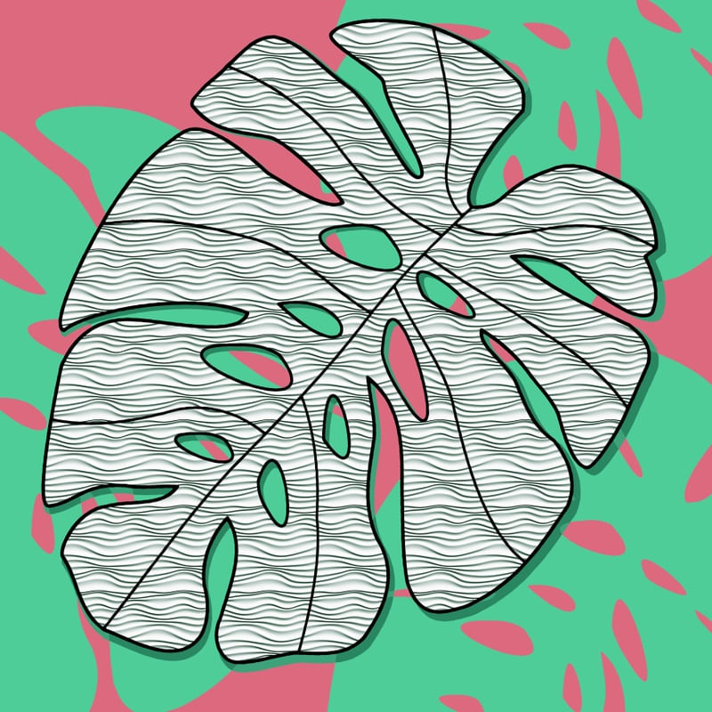 RB-1451C1 - FLORA