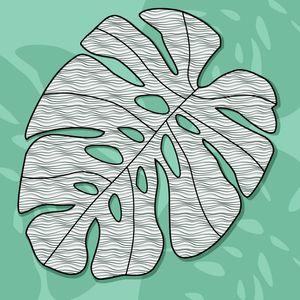 RB-1451C5 - FLORA