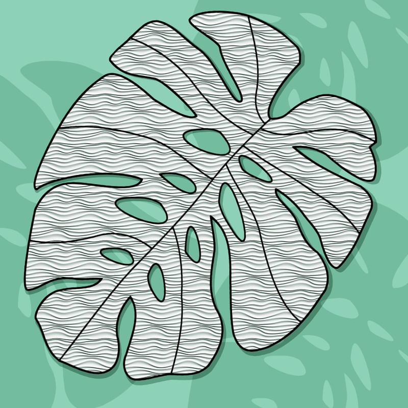 RB-1451C5 - FLORA