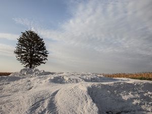 PAISAGENS DO CAMPO I
