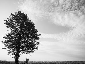 PAISAGENS RURAL E SEUS CONTRASTES