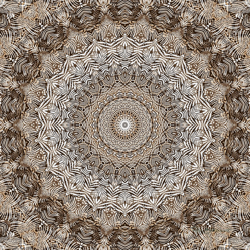 MDL-319 - MANDALA