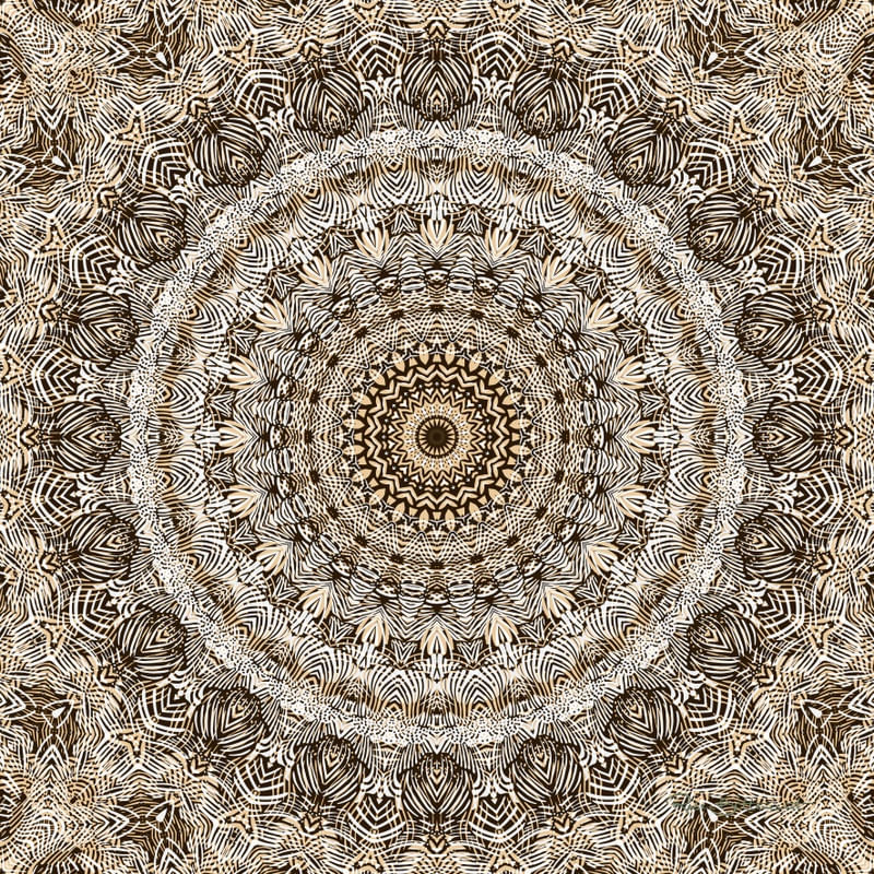 MDL-320 - MANDALA