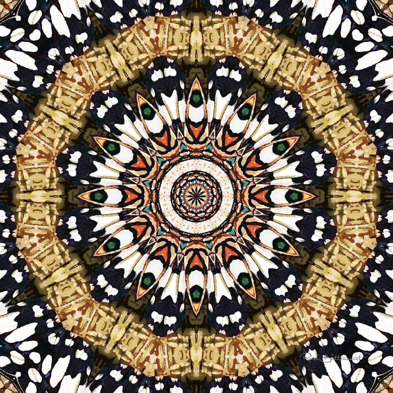 RBL-4000A3 - MANDALA